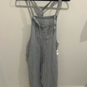 Aerie Gray Overalls